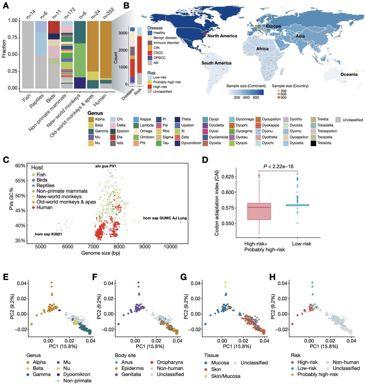 Global sampling and genomic diversity of 3562 papillomavirus genomes
